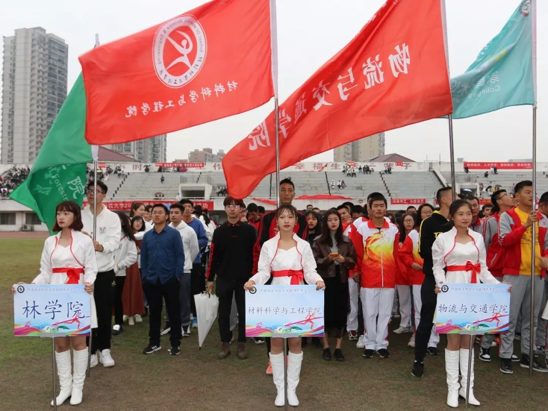 图片15 图片15