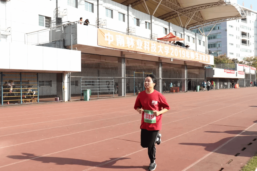 图片11 图片11